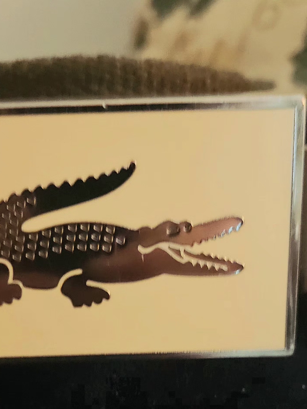 Lacoste Belt